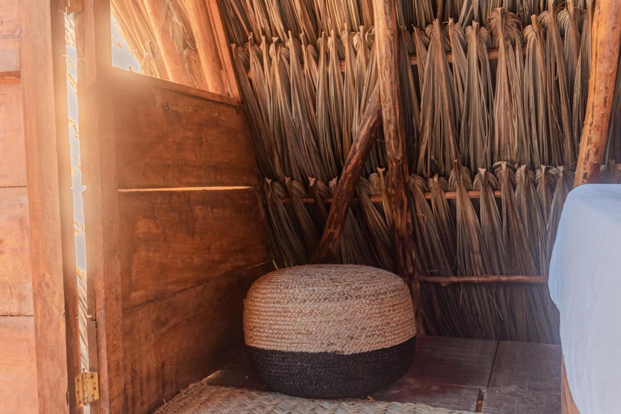Mapache Hostel & Camping Holbox Extérieur photo