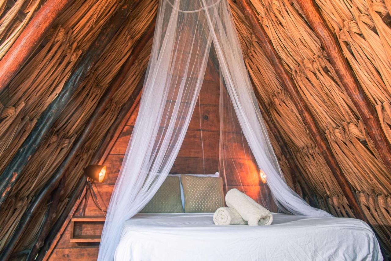 Mapache Hostel & Camping Holbox Extérieur photo