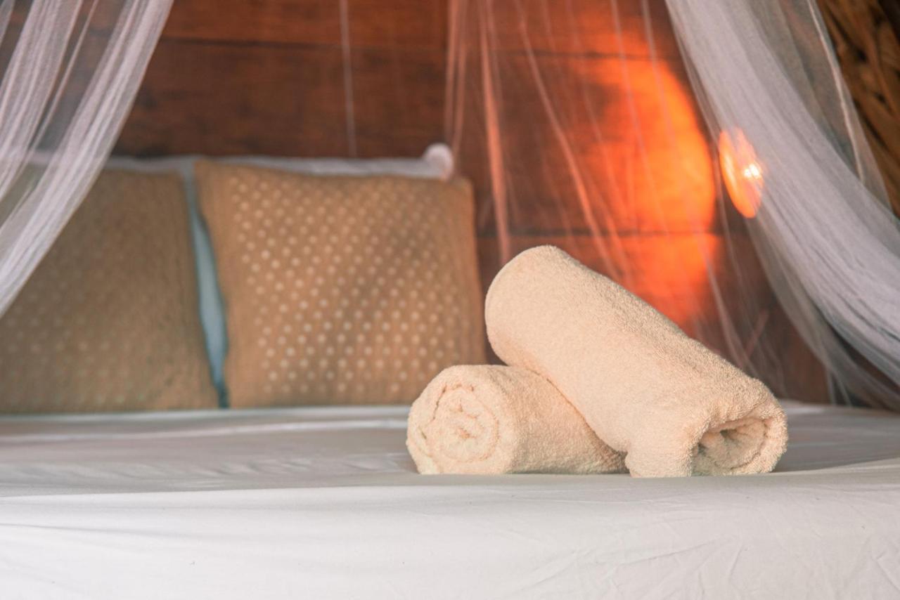 Mapache Hostel & Camping Holbox Extérieur photo