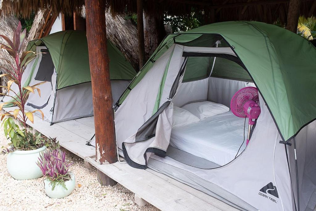 Mapache Hostel & Camping Holbox Extérieur photo