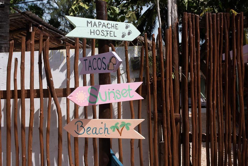 Mapache Hostel & Camping Holbox Extérieur photo