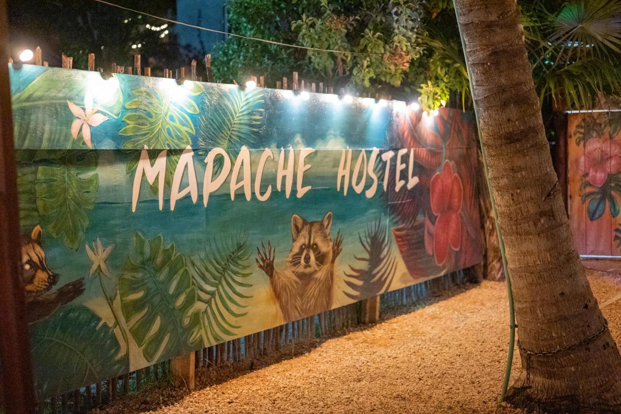 Mapache Hostel & Camping Holbox Extérieur photo