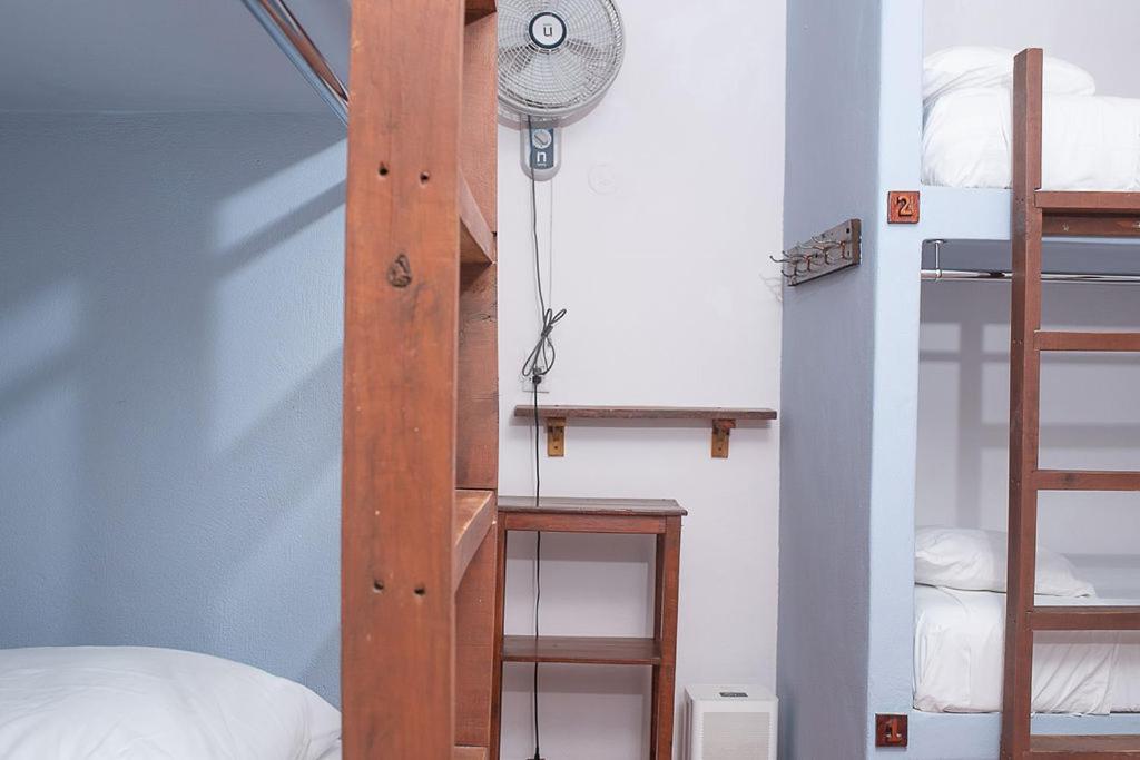 Mapache Hostel & Camping Holbox Extérieur photo