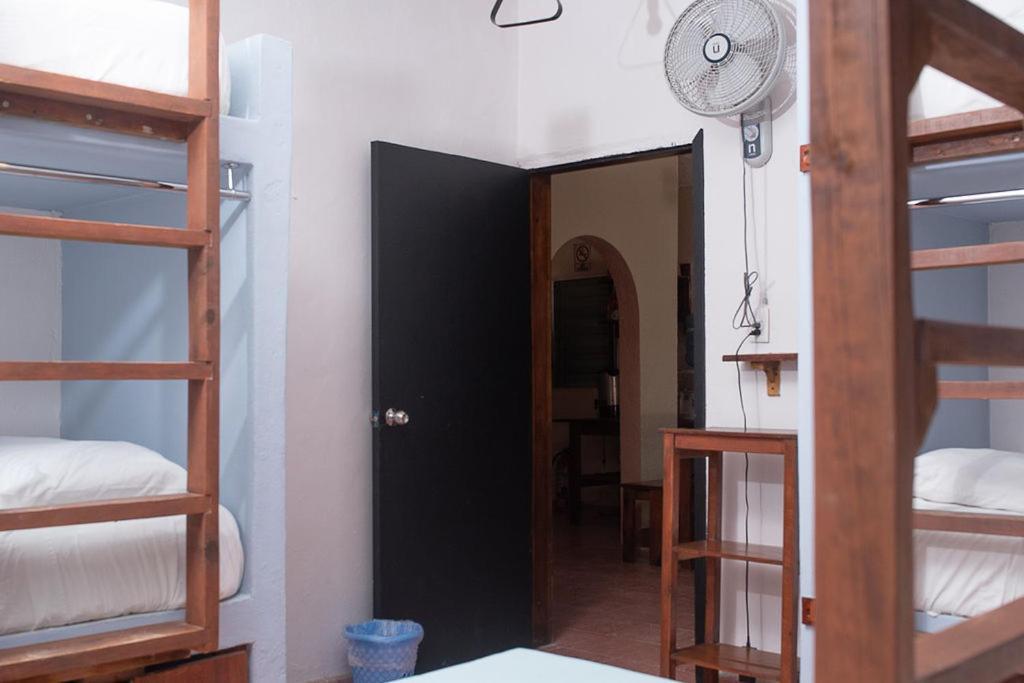 Mapache Hostel & Camping Holbox Extérieur photo