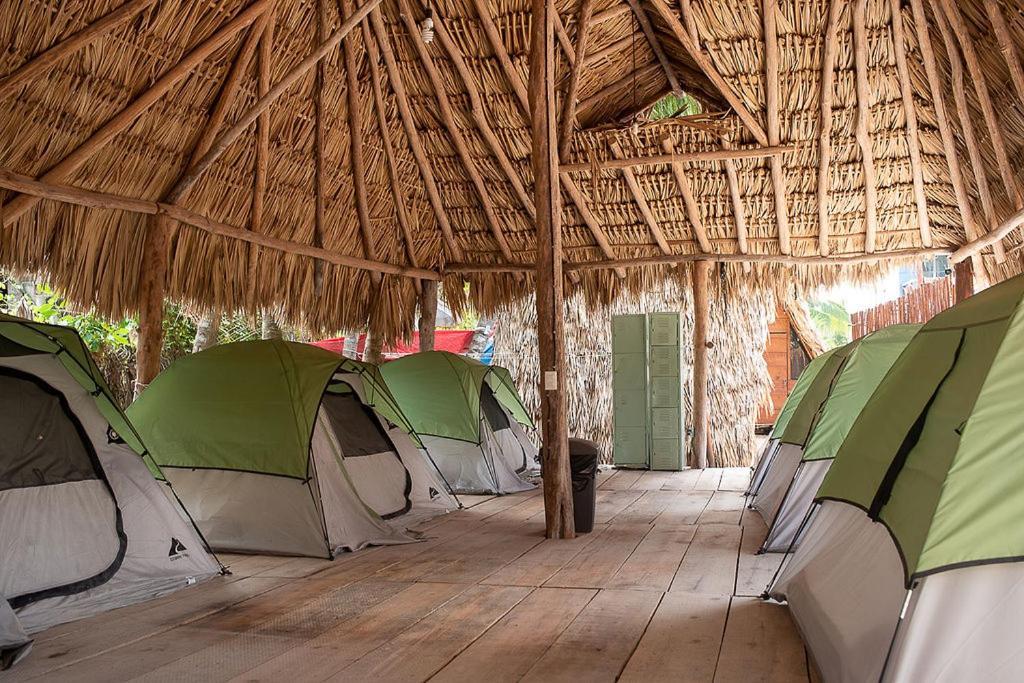 Mapache Hostel & Camping Holbox Extérieur photo