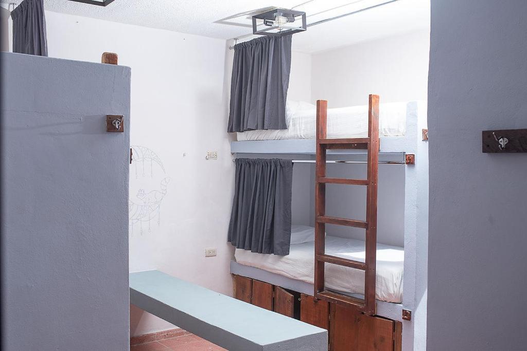 Mapache Hostel & Camping Holbox Extérieur photo