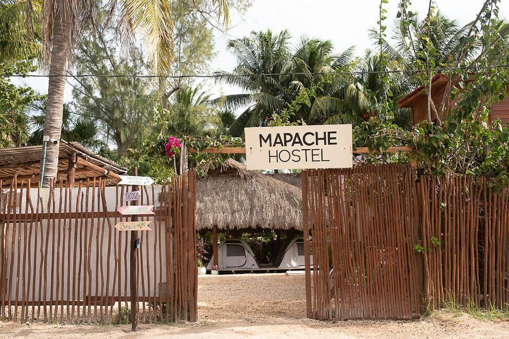 Mapache Hostel & Camping Holbox Extérieur photo