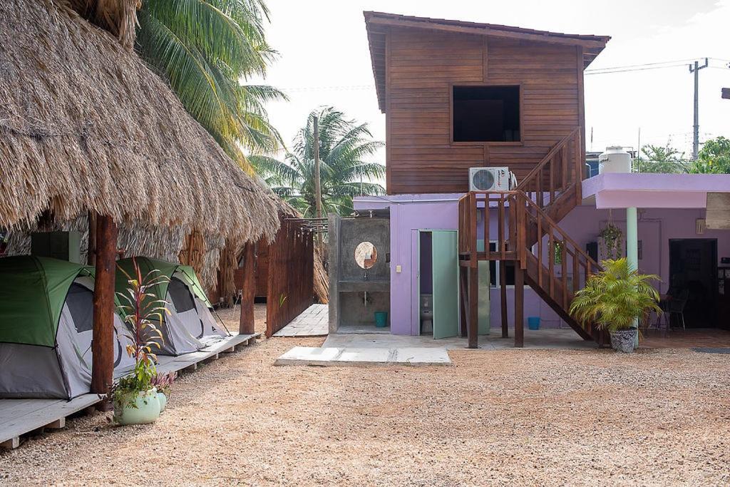 Mapache Hostel & Camping Holbox Extérieur photo