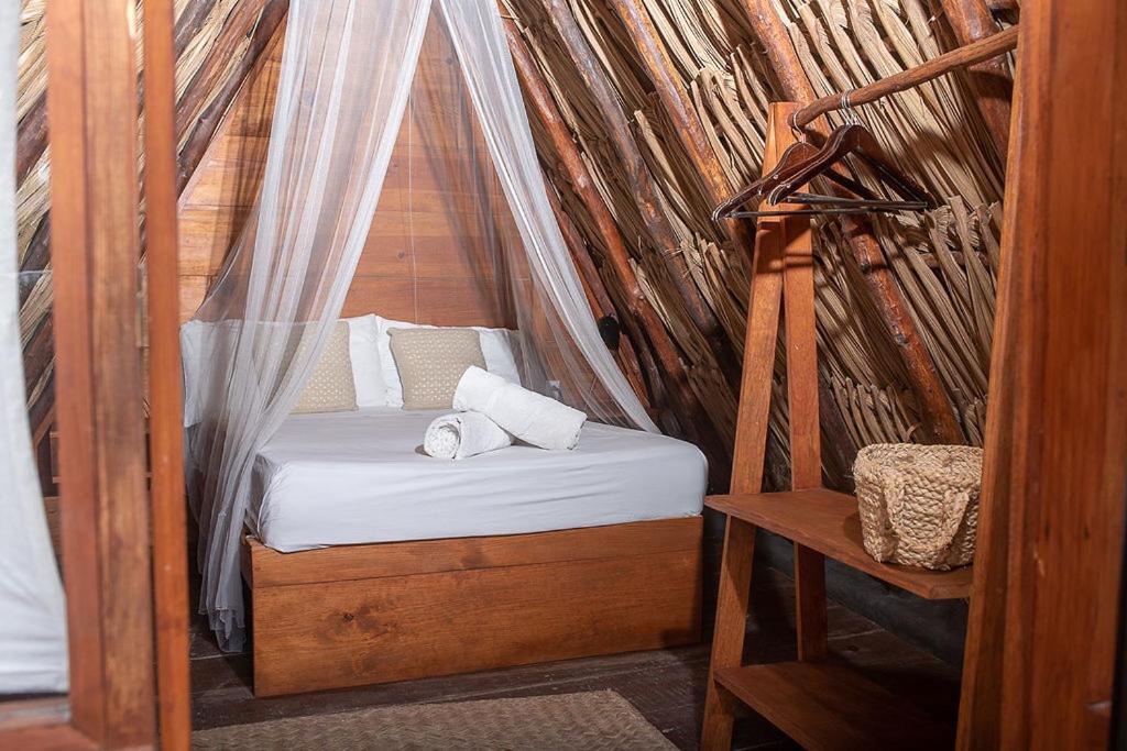 Mapache Hostel & Camping Holbox Extérieur photo