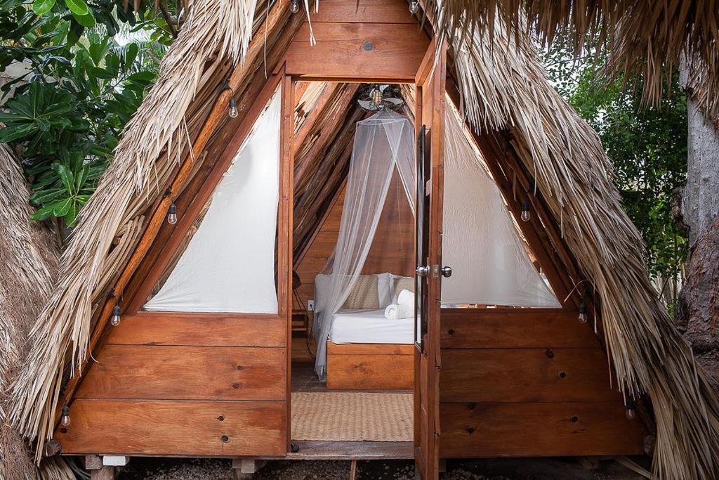 Mapache Hostel & Camping Holbox Extérieur photo