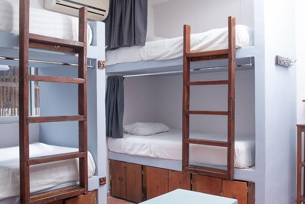 Mapache Hostel & Camping Holbox Extérieur photo