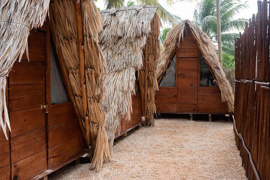 Mapache Hostel & Camping Holbox Extérieur photo