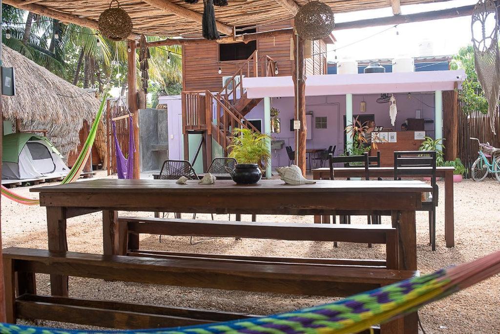Mapache Hostel & Camping Holbox Extérieur photo
