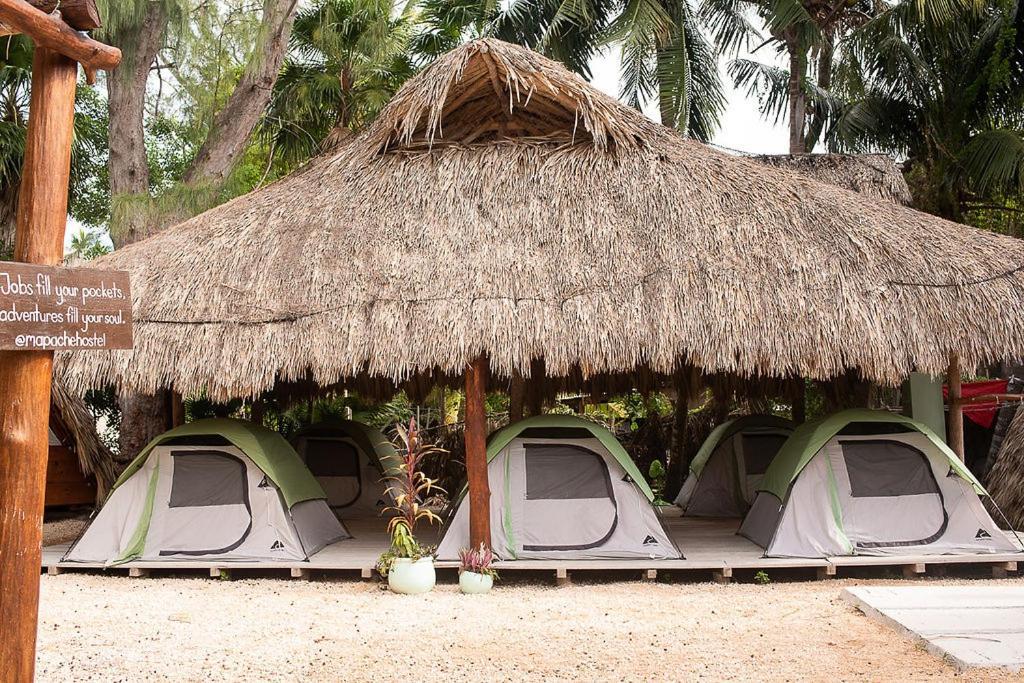 Mapache Hostel & Camping Holbox Extérieur photo