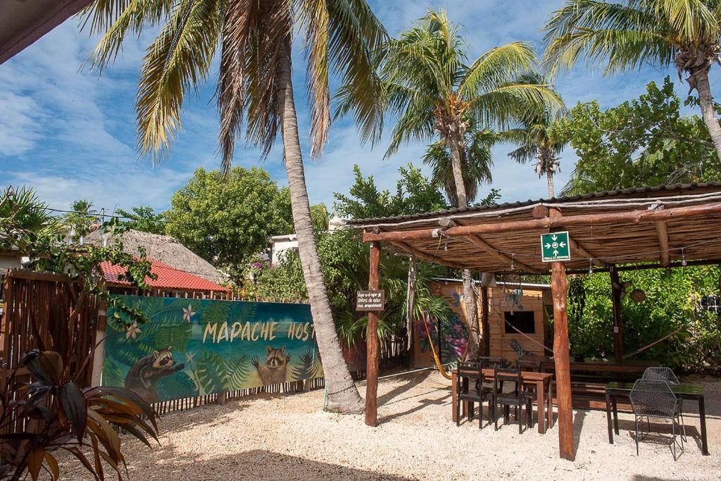 Mapache Hostel & Camping Holbox Extérieur photo