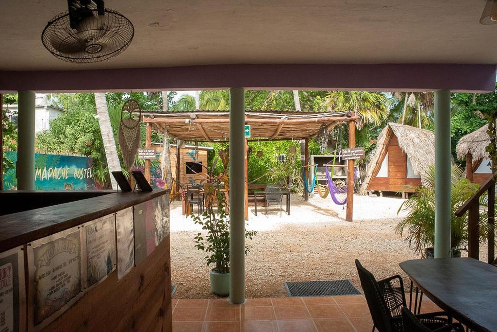 Mapache Hostel & Camping Holbox Extérieur photo