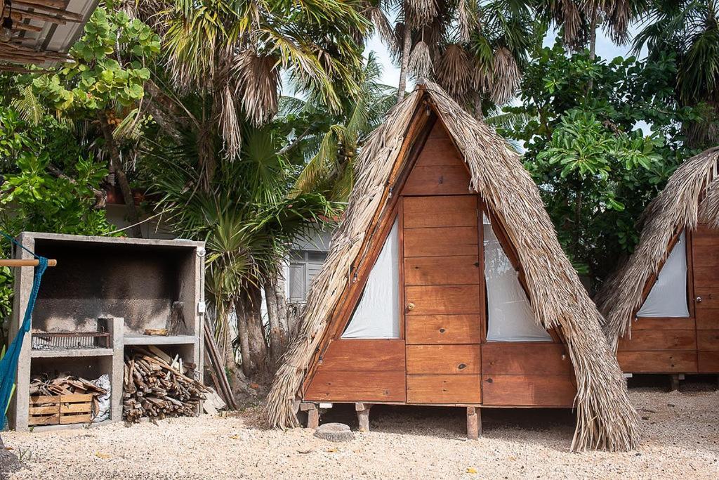 Mapache Hostel & Camping Holbox Extérieur photo